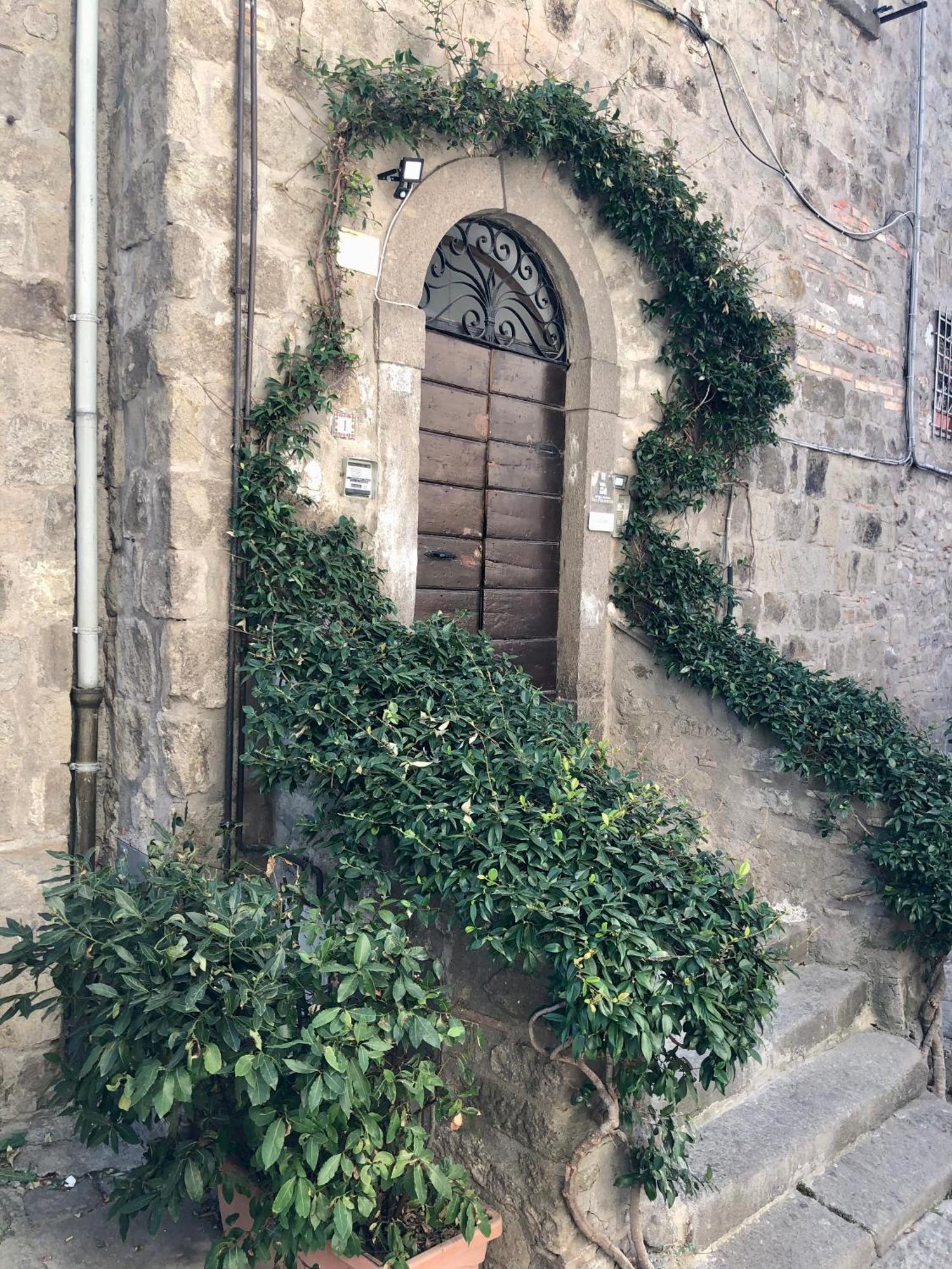 Torre Degli Alessandri Viterbo Esterno foto